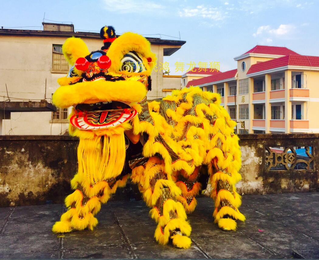 鶴裝鶴山獅佛山醒獅廣東醒獅