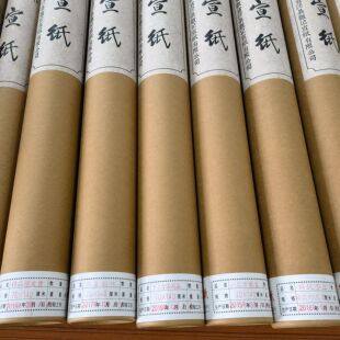 四尺六尺10张宣纸生宣试纸体验礼盒装书法国画创作宣纸