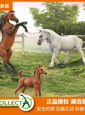 CollectA我你他阿帕卢萨雅库特诺里克美国骑乘阿拉伯公马模型玩具