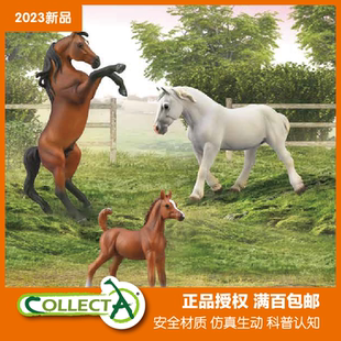 CollectA我你他阿帕卢萨雅库特诺里克美国骑乘阿拉伯公马模型玩具