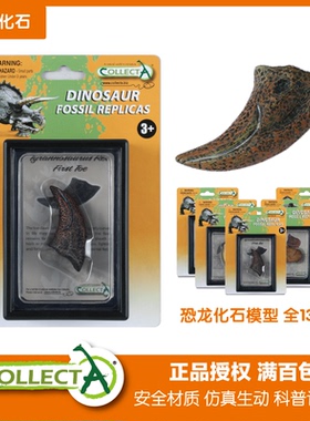 CollectA恐龙牙齿利爪化石霸王龙三角龙模型玩具教具科普标本收藏