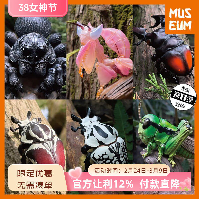 动物星球心宽体胖第11弹昆虫狼蛛兰花螳螂锹形虫金龟蝗虫蚂蚱模型