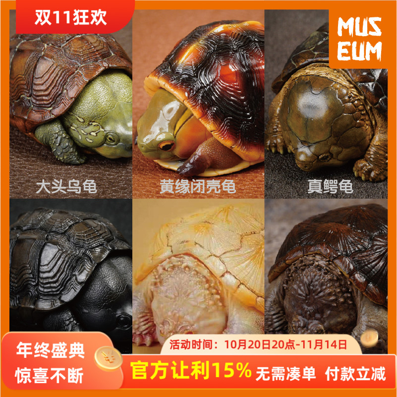 动物星球心宽体胖佛大黄缘墨龟