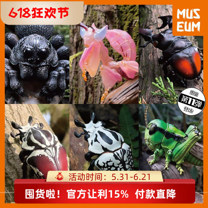 动物星球心宽体胖第11弹昆虫狼蛛兰花螳螂锹形虫金龟蝗虫蚂蚱模型