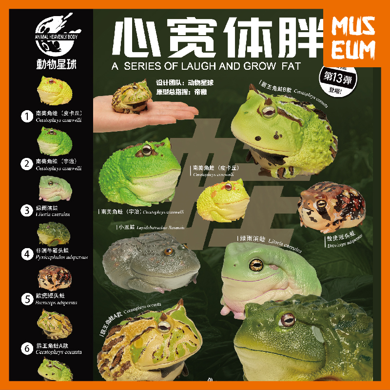 动物星球现货心宽体胖树蛙