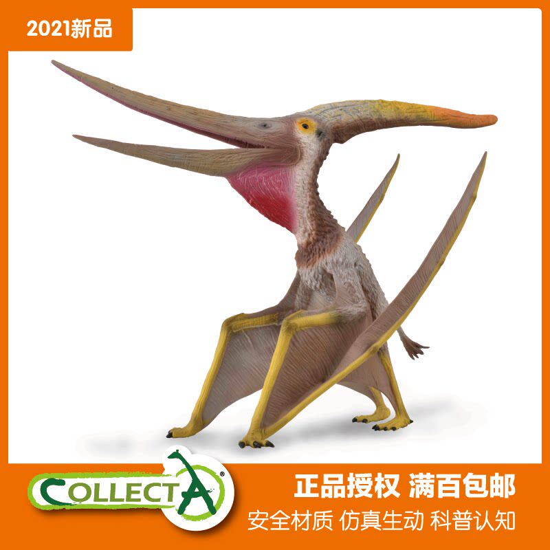 CollectA无齿翼龙88912仿真侏罗纪恐龙玩具动物模型儿童可动