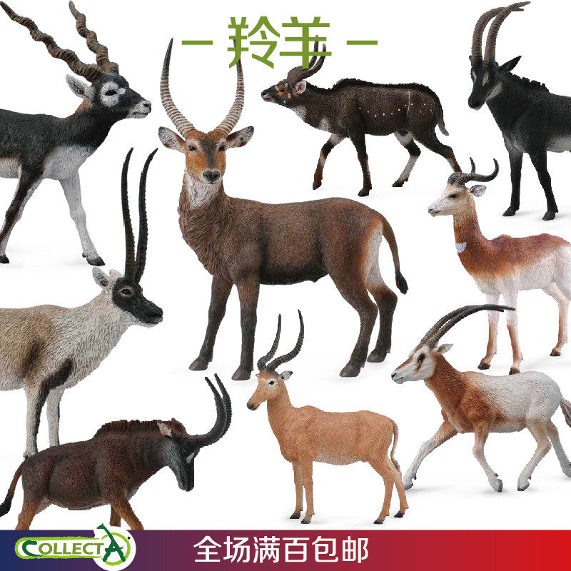 CollectA羚羊野生动物仿真模型弯角剑跳羚藏羚羊水大牛羚手办玩具 - 实物图