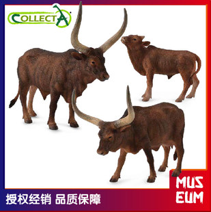 CollectA我你他农场仿真动物模型 安科拉长角牛 安科拉瓦图西公牛