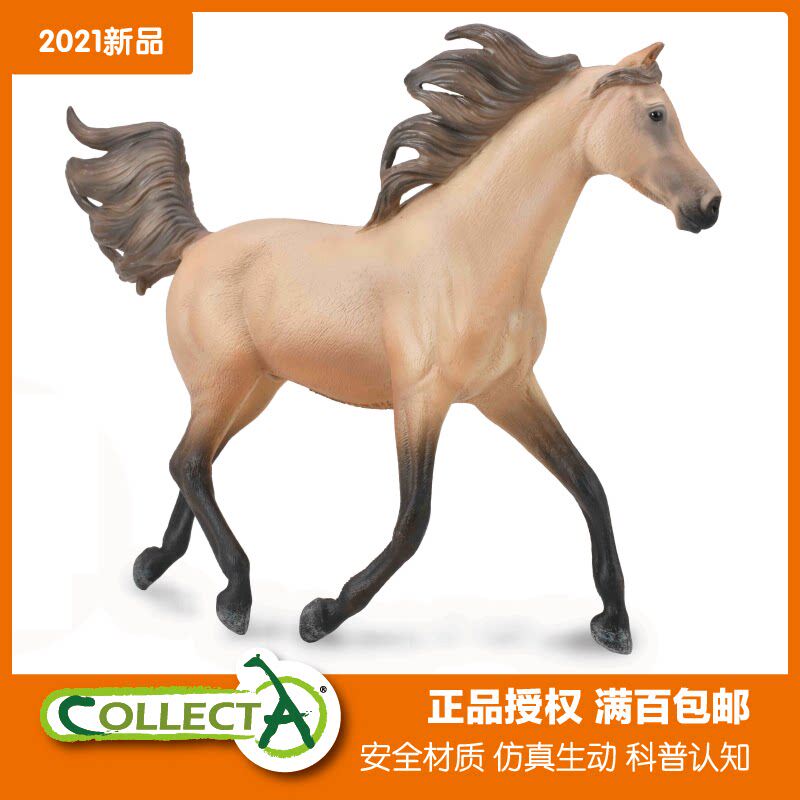 CollectA 88931半阿拉伯公马 鹿皮褐色 仿真模型玩具马术马匹农场
