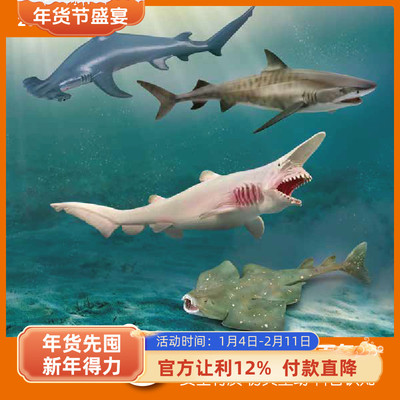 CollectAPVC海洋生物