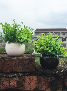 ZAKKA美式简约绿植桌面