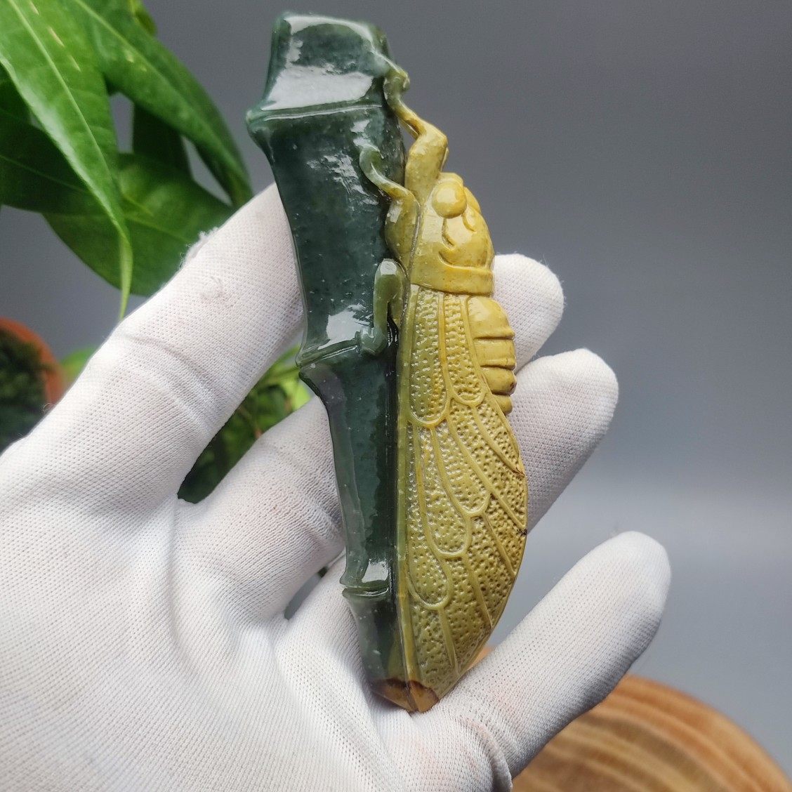 精品收藏析木河磨玉籽料蝉竹子手把件把玩一鸣惊人节节高东北籽料