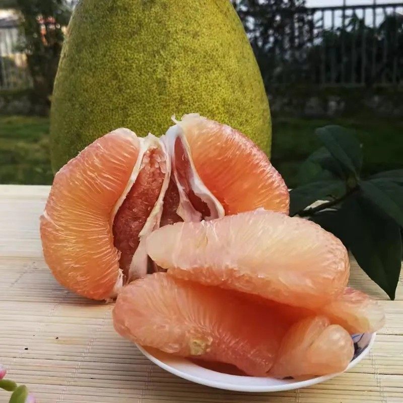 四川广安龙安柚水果2个装(单果2斤)红柚子酸甜皮厚很丑介意慎拍