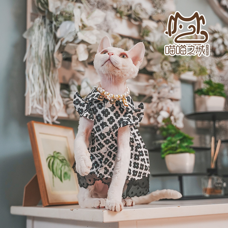 喵喵之城德文卷毛宠物猫咪夏季纯棉透气连衣裙黑色小花衬衫裙包邮