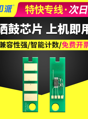 适用奔图P3255DN硒鼓芯片P3405D/DN P3425DN P3500D/DW P3502DN