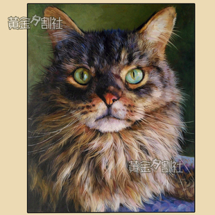 Pet Cat Painting Photo宠物猫油画订 Commission Portrait From