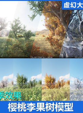 UE5 Cherry Plum Prunus cerasifera 樱桃李子果树灌木植物模型