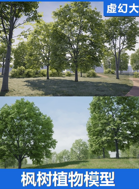 UE4UE5 Trees Maple Tree 森林树木枫树植物模型自然绿色室外景观