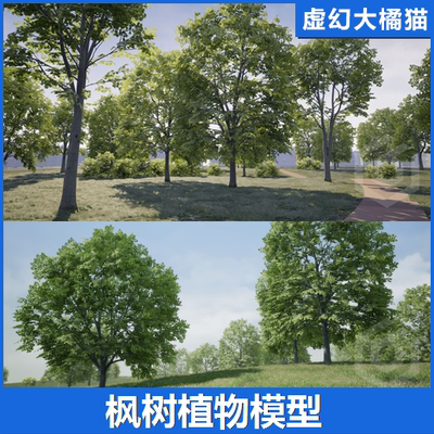 UE4UE5 Trees Maple Tree 森林树木枫树植物模型自然绿色室外景观
