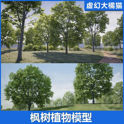 UE4UE5 Trees Maple Tree 森林树木枫树植物模型自然绿色室外景观