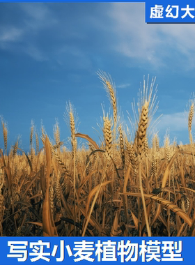 UE5 Nanite Foliage Wheat Field 小麦植物庄稼模型农作物农场3D