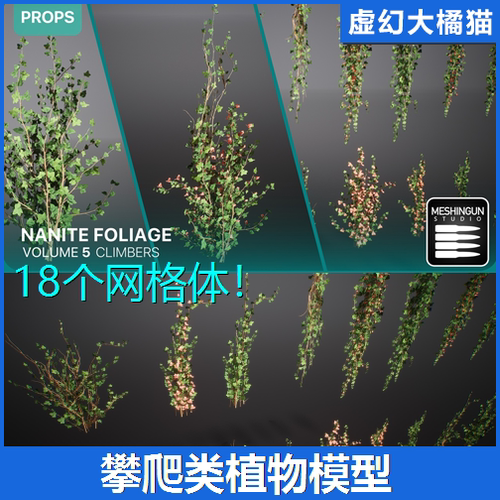 虚幻UE5.1+ Nanite Foliage Vol5 Climbers 攀爬藤曼类植物爬山虎