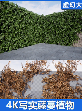 UE5虚幻4 Ivy Foliage Pack 4K藤蔓植物爬山虎模型紫藤白萝蔓绿化