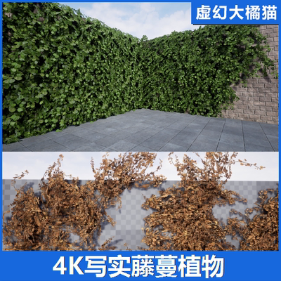 UE5虚幻4 Ivy Foliage Pack 4K藤蔓植物爬山虎模型紫藤白萝蔓绿化