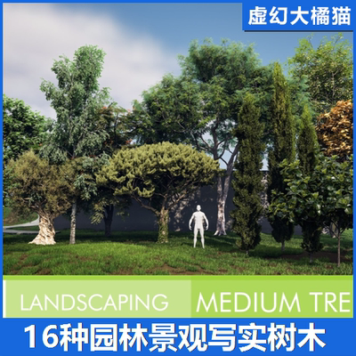 UE5 Landscaping Medium Trees Vol. 1 园林景观写实树木道具模型