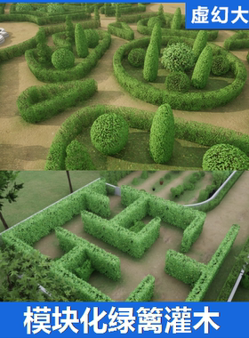 UE5 Hedges Bushes 绿篱灌木丛模型人工绿化带绿墙隔离带建筑园艺