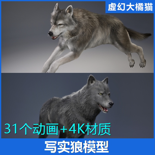 UE5虚幻5 Animal Wolf (Fur-Groom) 野狼动物野兽角色模型灰狼NPC