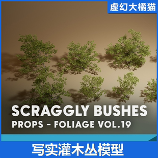 Scraggly VOL.19 Bushes灌木从植物景观模型野生 Foliage UE5虚幻