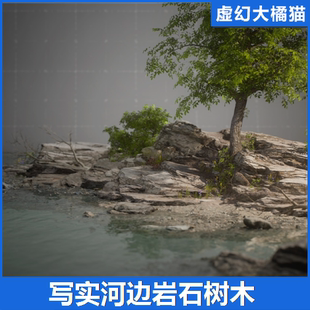 UE5.3+ Realistic RiverRock 写实河边石头树木植物模型枯枝败叶