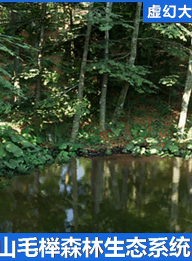 UE5虚幻 Beech Forest Ecosystem山毛榉森林绿色热带植物生态场景