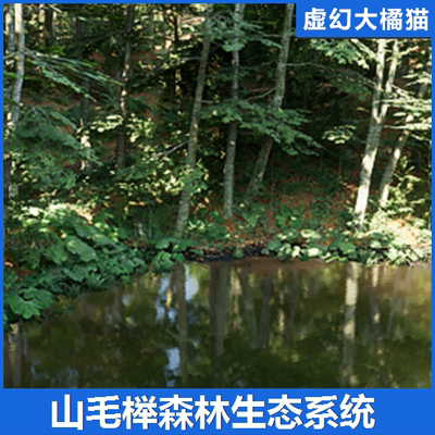 UE5虚幻 Beech Forest Ecosystem山毛榉森林绿色热带植物生态场景