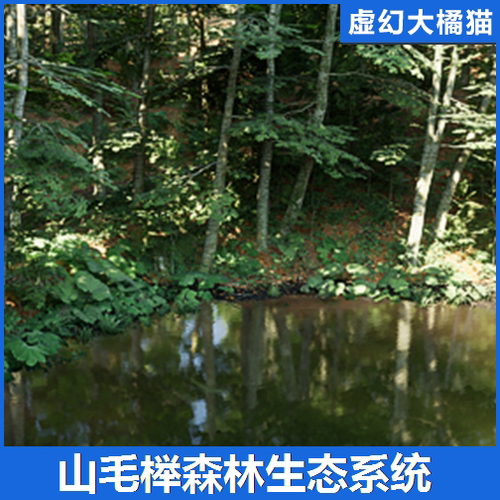 UE5虚幻 Beech Forest Ecosystem山毛榉森林绿色热带植物生态场景