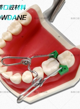 牙科楔子豆瓣成型片夹子不锈钢树脂成型片成形夹卡环弹簧夹子齿科