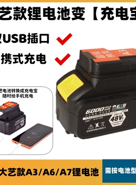 适用大艺48V88FA3A7锂电池转换充电宝快充带USB给手机充电转换器