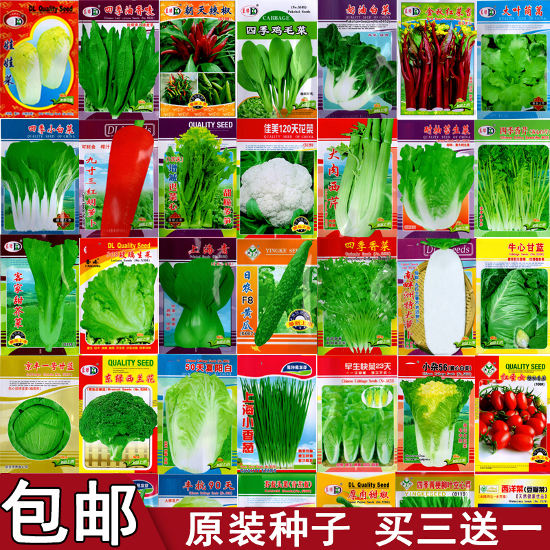 蔬菜种子农家辣椒番茄黄瓜盆栽西红柿韭菜香菜四季菜种籽孑大全