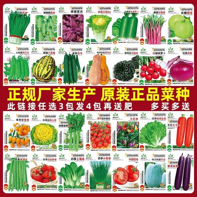 蔬菜种子四季播盆栽阳台香菜生菜菠菜秋易种籽孑大全无架播种种植,农用物资,蔬菜种子/种苗,淘宝优惠券,粉丝福利购,淘宝优惠卷