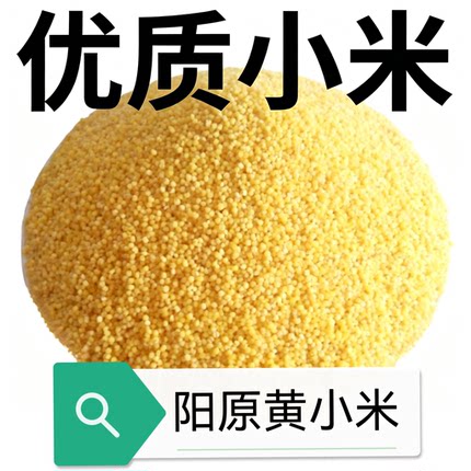 阳原黄小米新米月子米宝宝辅食米粥米油大黄米农家自产非转基因斤