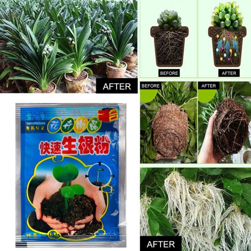 10Pcs Fast Rooting Powder Extra Fast Abt Root Plant Flower T