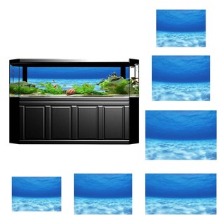3D One Side Fish Tank Background Aquarium Photography Backg