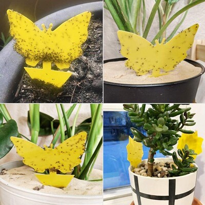 10 Pcs Sticky Fly Trap Yellow Dual-Sided Gnat Glue Trapper S