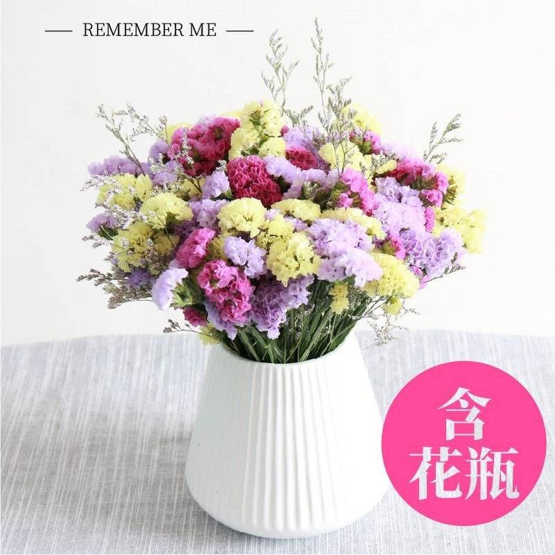 forget me not all over the sky star dried flowers with