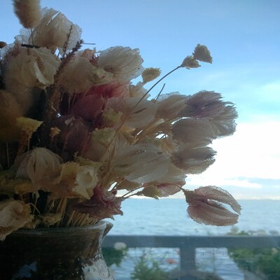 Microfibre Bedroom Kitchen Bathroom Floor Shower Mat Rug New