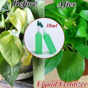 38ml Hydroponic Plant Nutrient Solution Fertilizer Bamboo Fl