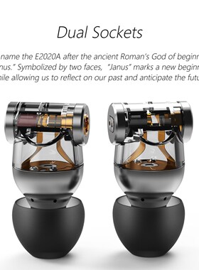 DD ddHiFi E2020A Janus Dynamic In Ea Monitor Earphone IEM w