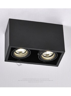 LED Ceiling Lights Double spot LED lamps Replaceable G10 5W