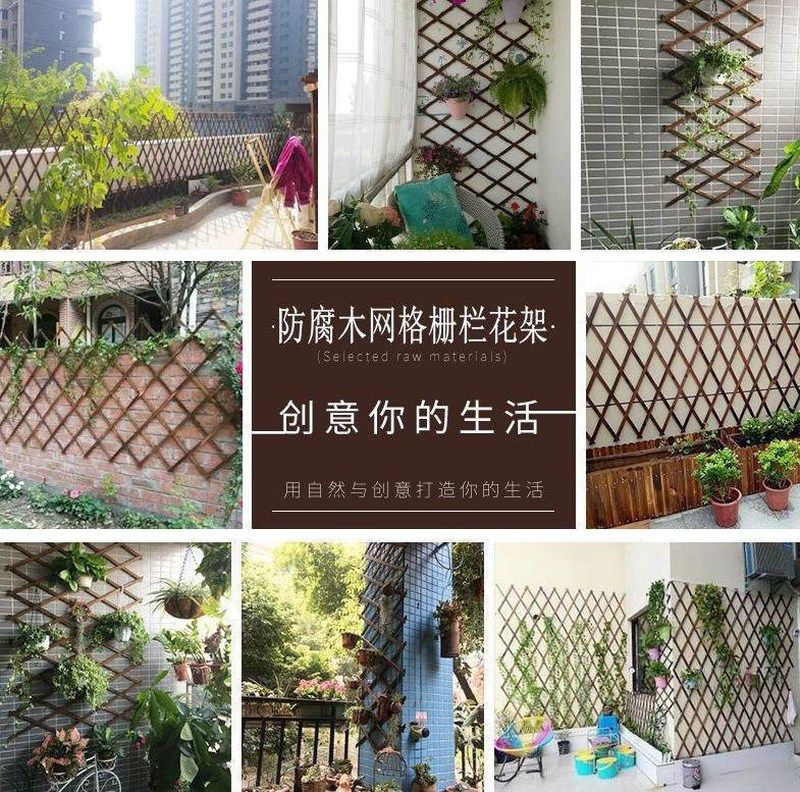 vegetable garden wooden supermarket green plant wall fixed